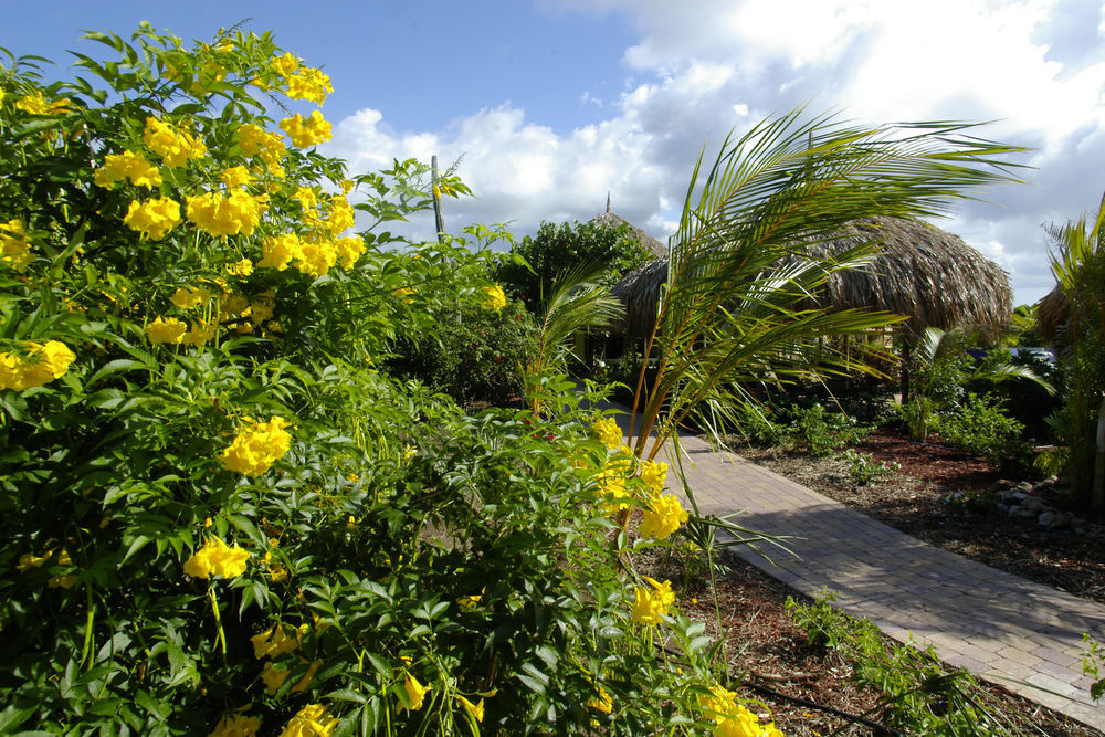 Kura Hulanda Lodge & Beach Club Westpunt Exteriér fotografie